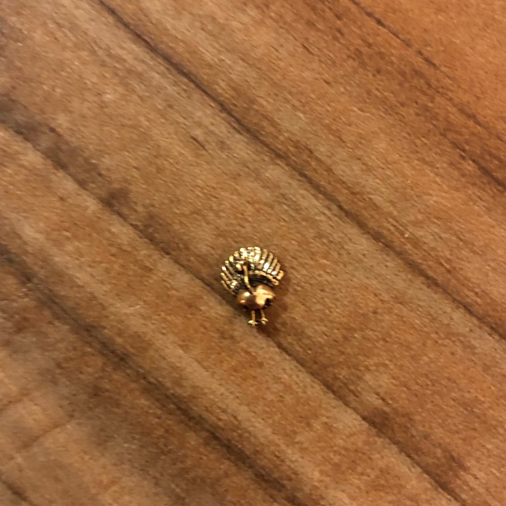Origami Owl turkey charm